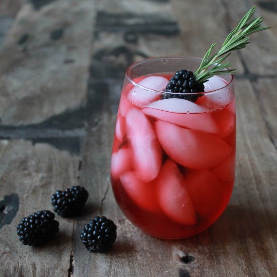 Blackberry Gin & Tonic