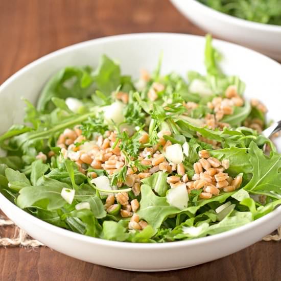 Farro Salad with Fennel and Arugula