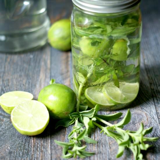 Mojito Infused Vodka (Low Carb)