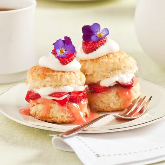 Strawberry Shortcakes