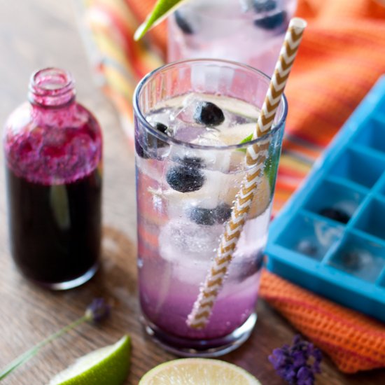 Blueberry Lavender Fizz Cocktails