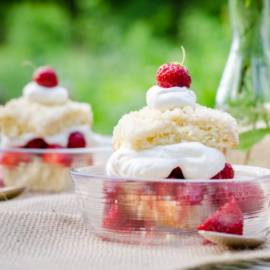 Any-Fruit Shortcake