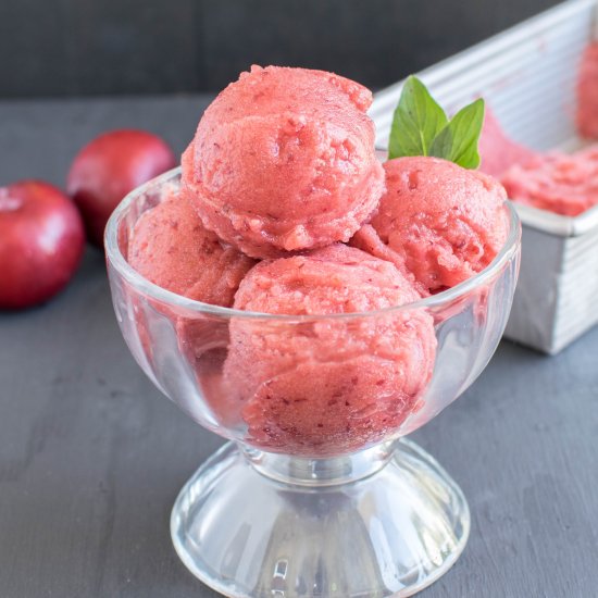 Dates Plum Sorbet