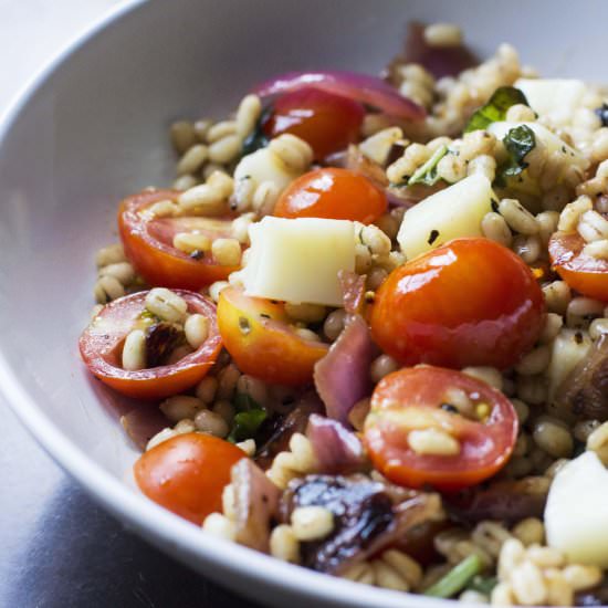 Barley Salad w/ Mozzarella & Tomato