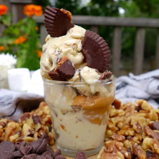 Dairy-Free Peanut Butter Ice Cream