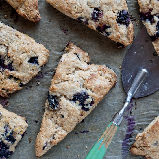 Blueberry Lemon & Ricotta Scones