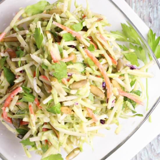 Healthy Broccoli Slaw