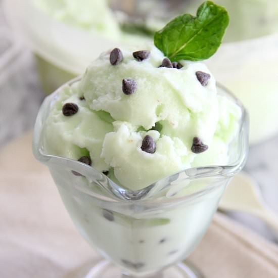 Mint Chip Frozen Yogurt