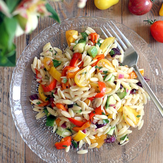 Rainbow Vegetable Orzo Pasta Salad