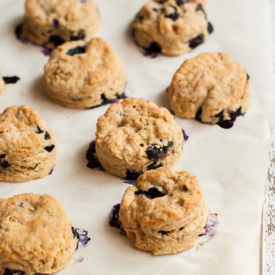 Vegan Blueberry Scones