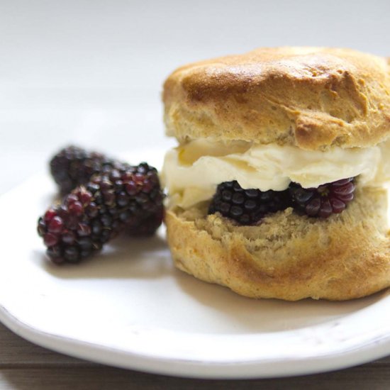 Spelt and Sugar Free Scones