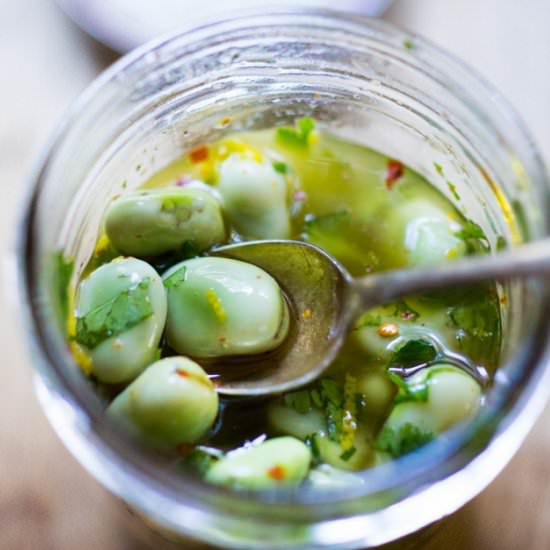 Marinated Fava Beans