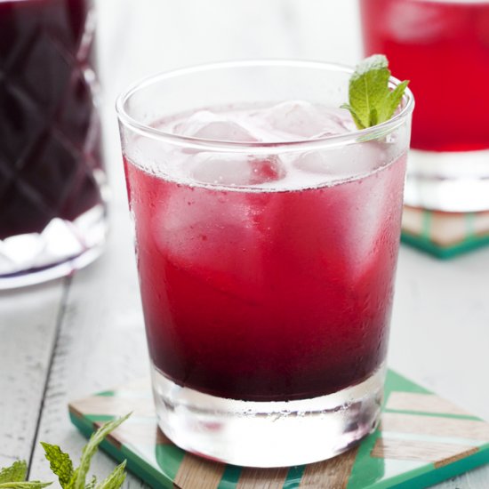 Blueberry Gin Fizz Cocktail