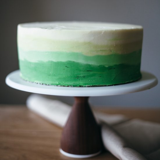 chocolate mint cake + mint frosting