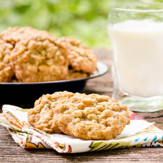 Honey Oatmeal Scotchies