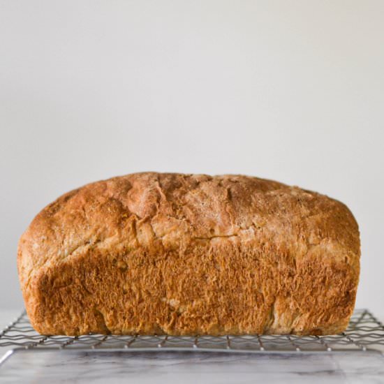 Oatmeal Sandwich Bread