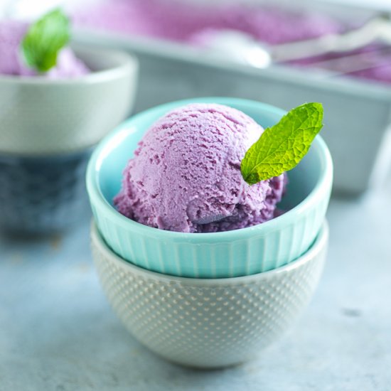 Blueberry Mojito Ice Cream