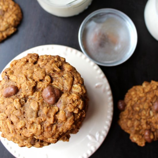 Oatmeal Raisinet Cookies