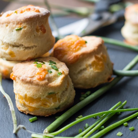 Cheddar and Garlic Scape Biscuits