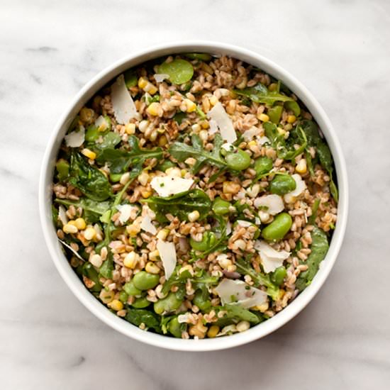 Farro Salad with Fava Beans & Corn