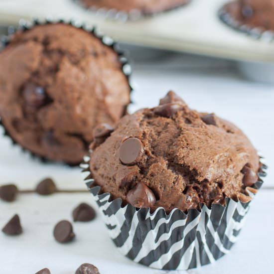 Double Chocolate Chip Muffins