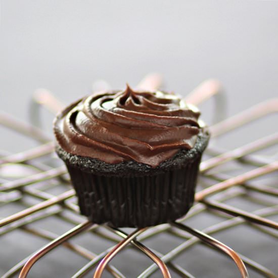 Cupcake with Chocolate Frosting