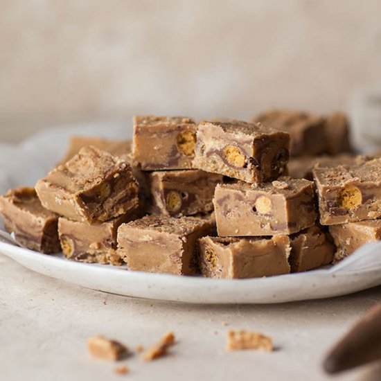 Fudge with malted balls