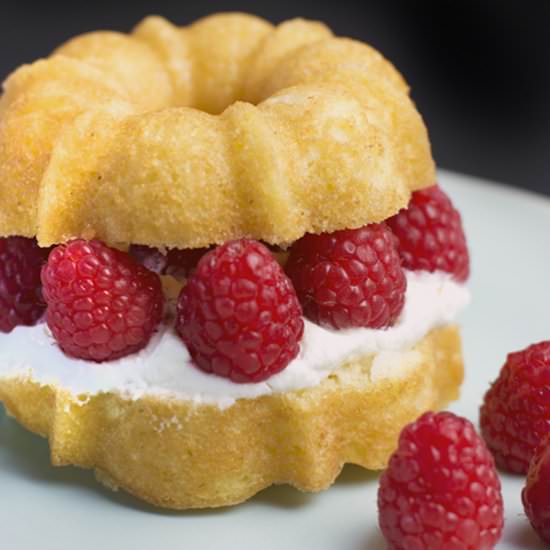 Raspberry Shortcake