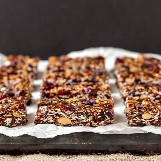 Vegan Chocolate Chip Granola Bars