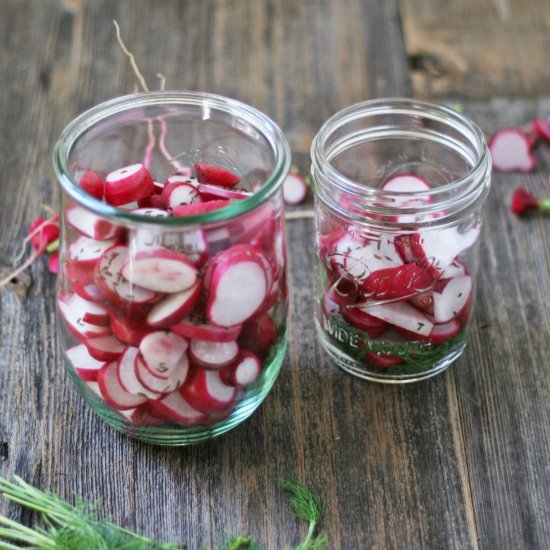 Lacto Fermented Radishes