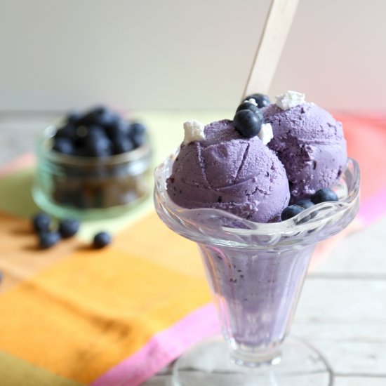 Blueberry Goat Cheese Ice Cream