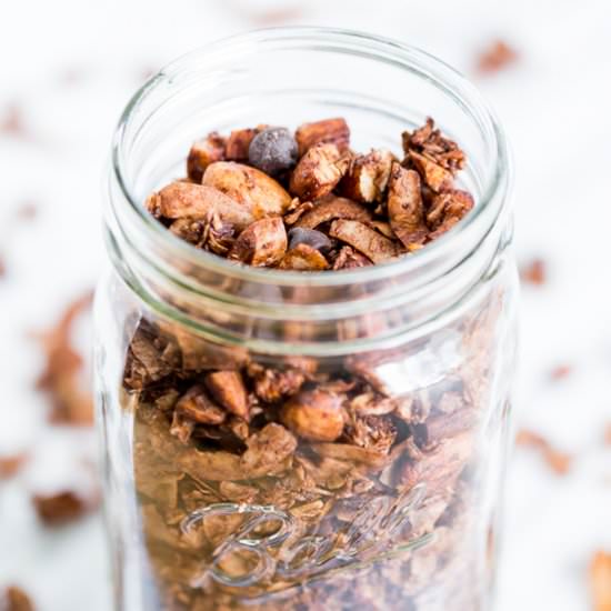 Chocolate Almond Coconut Granola