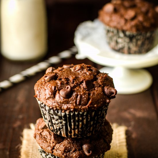 Moist Double Chocolate Chip Muffins