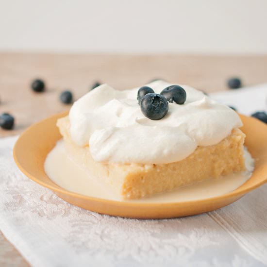 Best Tres Leches Cake