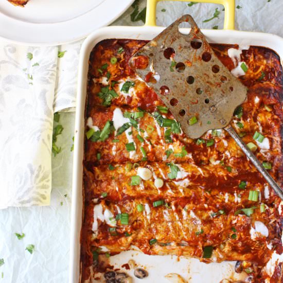 Skinny Vegetarian Enchiladas