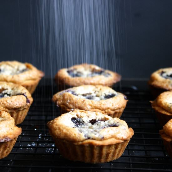 Mini Blueberry Tarts