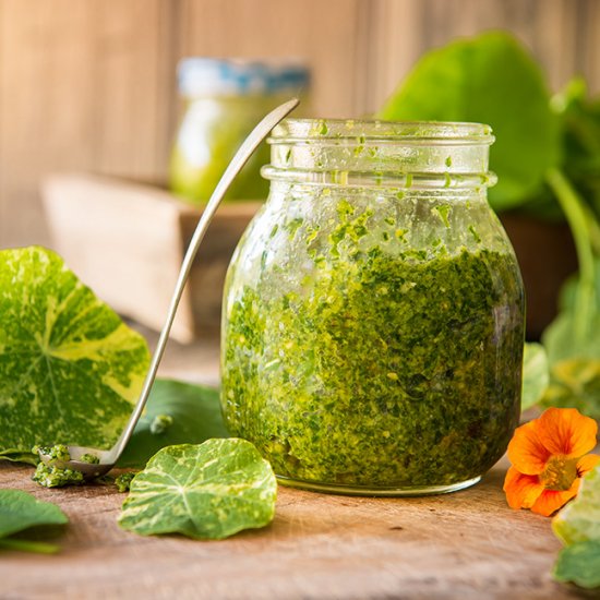 Nasturtium Pesto