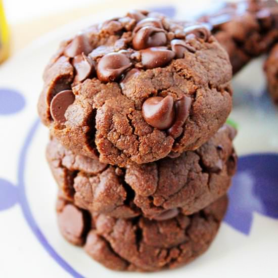 Double Chocolate SunButter Cookies