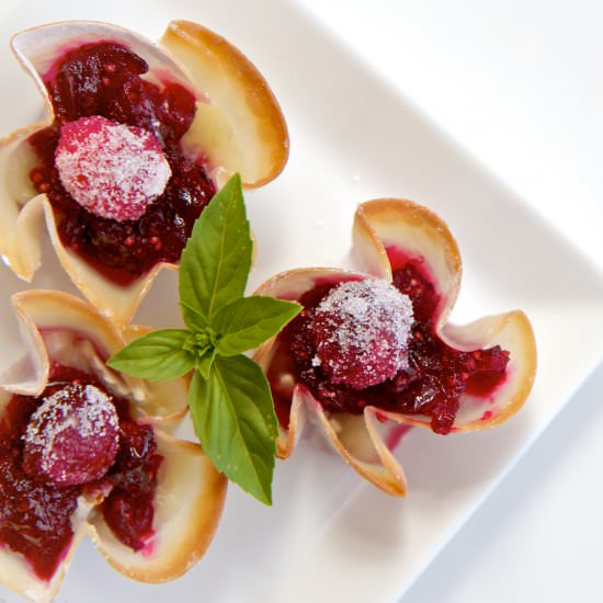 Cranberry Brie Bites