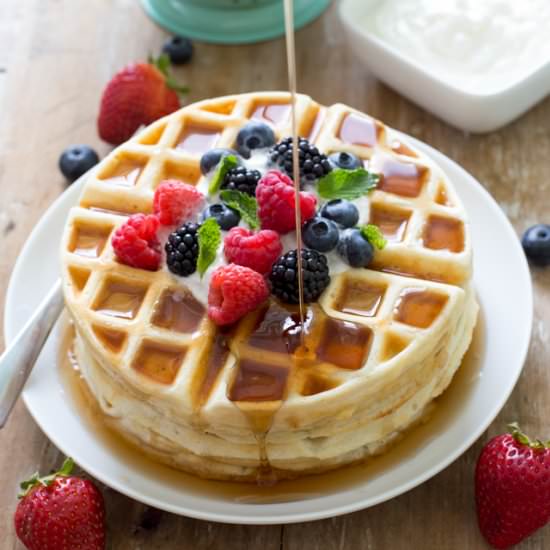 Greek Yogurt Waffles