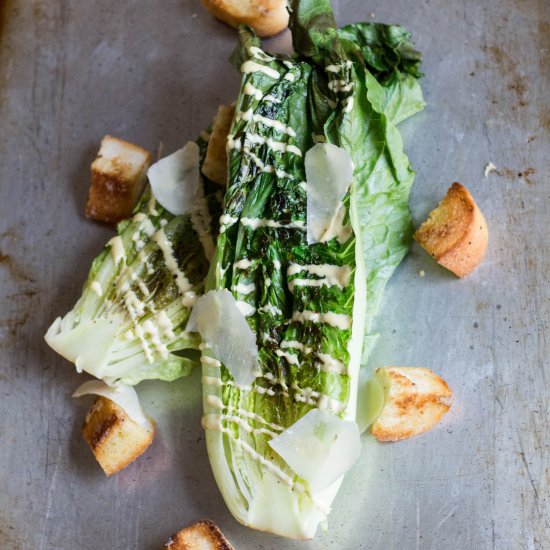 Grilled Caesar Salad