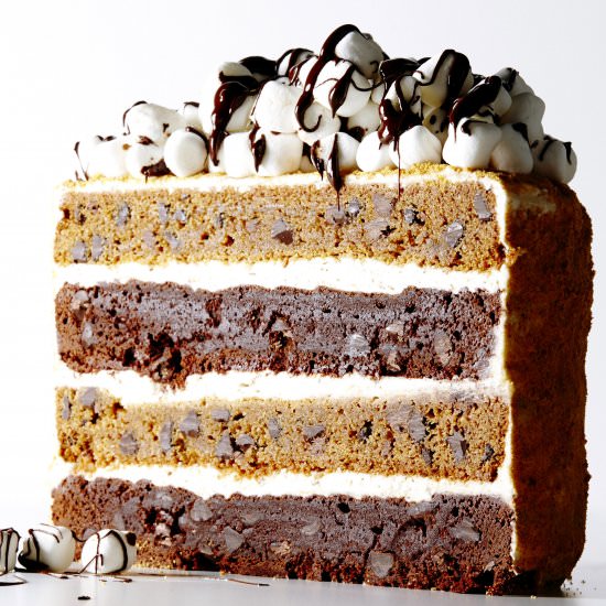 The Ultimate S’mores Layer Cake