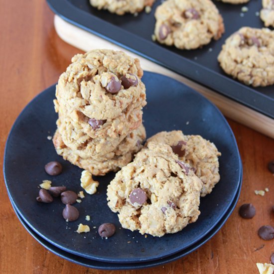 Gluten Free Oatmeal Chocolate Chipp