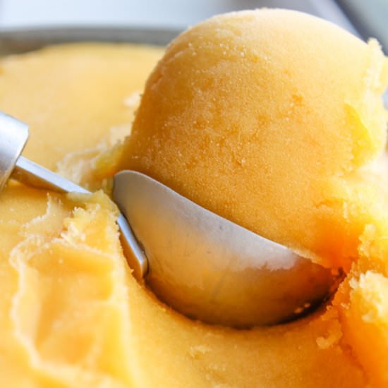 Tropical Rum Sorbet