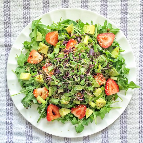 Arugula and Lentil Summer Salad