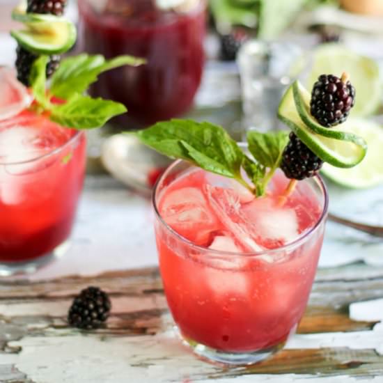 Fizzy Lime & Blackberry Shrub