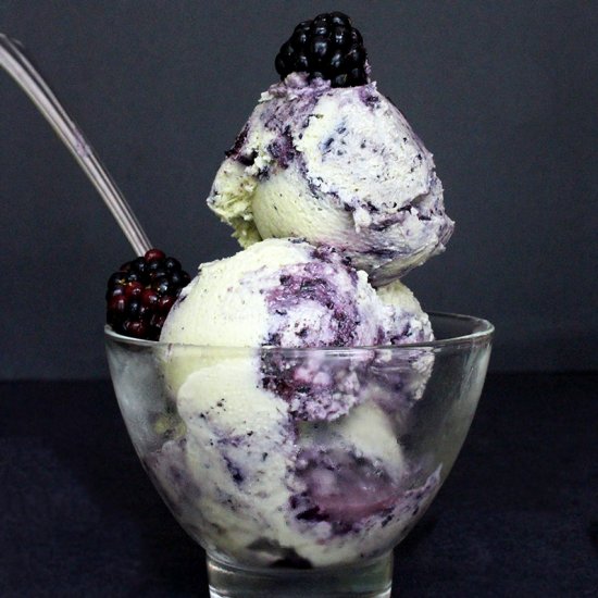 Vegan Blueberry Vanilla Ice Cream