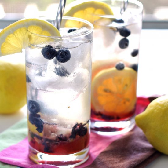 Blueberry Lemon Smash