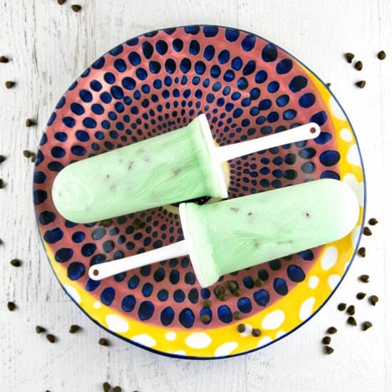 Mint Chocolate Chip Yogurt Popsicle