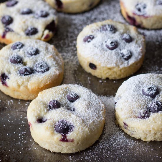 Mini Bluberry Ricotta Cakes